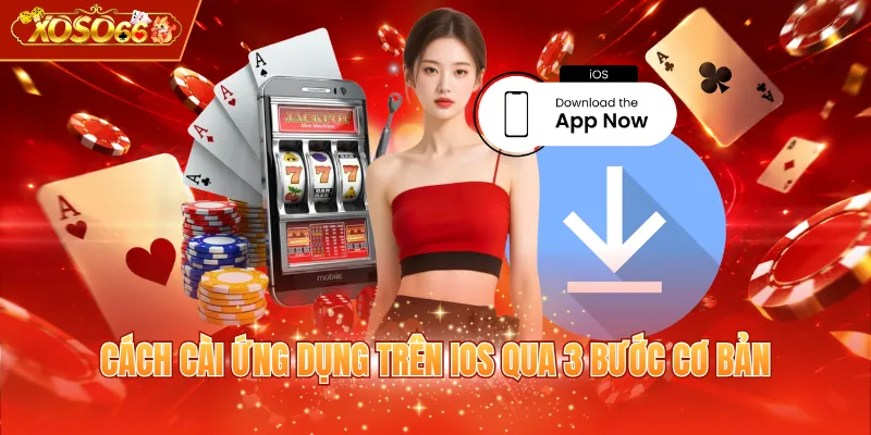 Cách cài ứng dụng trên iOS qua 3 bước cơ bản