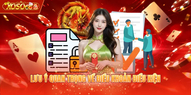 Lưu ý quan trọng về điều khoản điều kiện