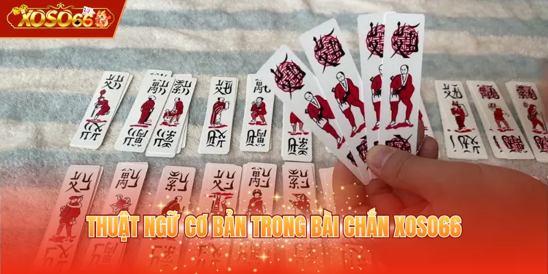 Thuật ngữ cơ bản trong bài Chắn XOSO66